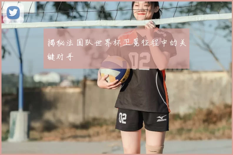 揭秘法国队世界杯卫冕征程中的关键对手