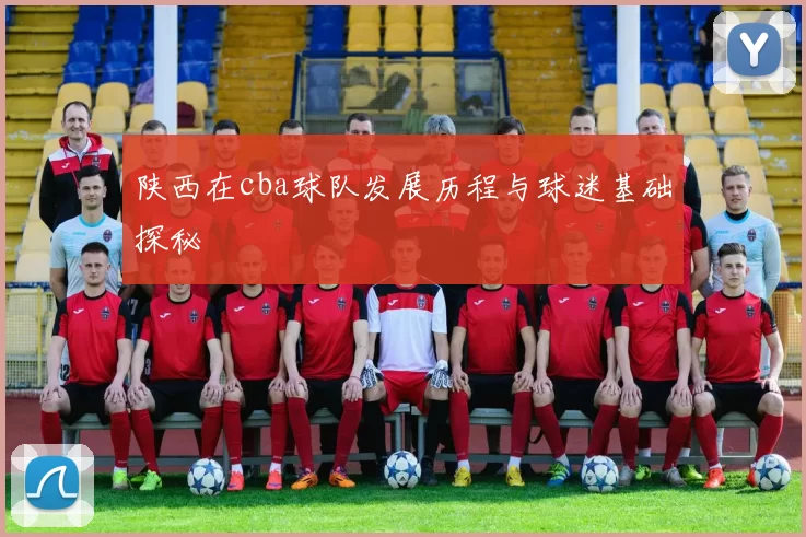 陕西在cba球队发展历程与球迷基础探秘