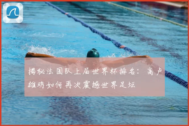 揭秘法国队上届世界杯排名:高卢雄鸡如何再次震撼世界足坛
