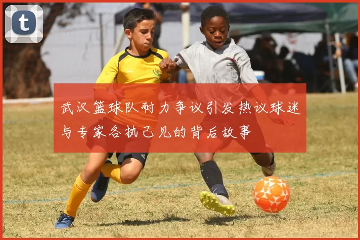 武汉篮球队耐力争议引发热议球迷与专家各执己见的背后故事