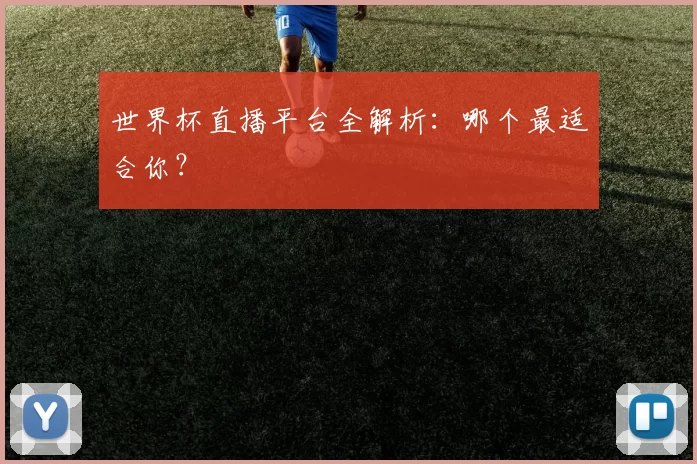 世界杯直播平台全解析:哪个最适合你?