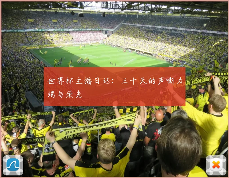 世界杯主播日记:三十天的声嘶力竭与荣光