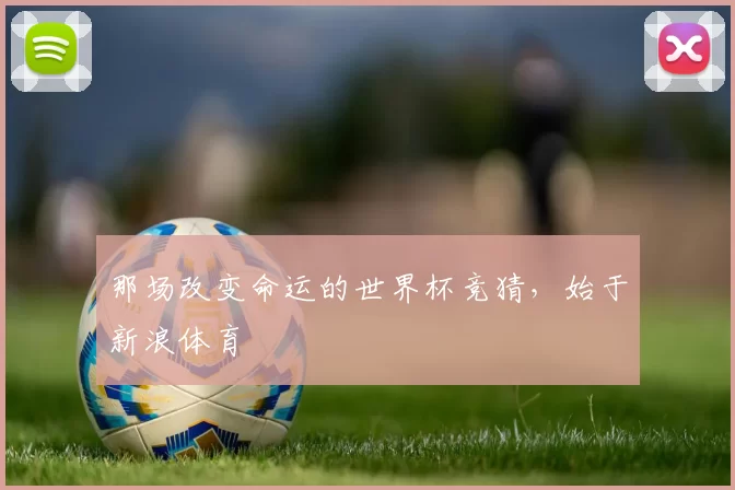 那场改变命运的世界杯竞猜,始于新浪体育