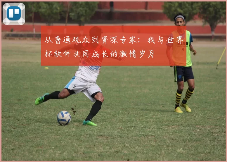 从普通观众到资深专家：我与世界杯软件共同成长的激情岁月
