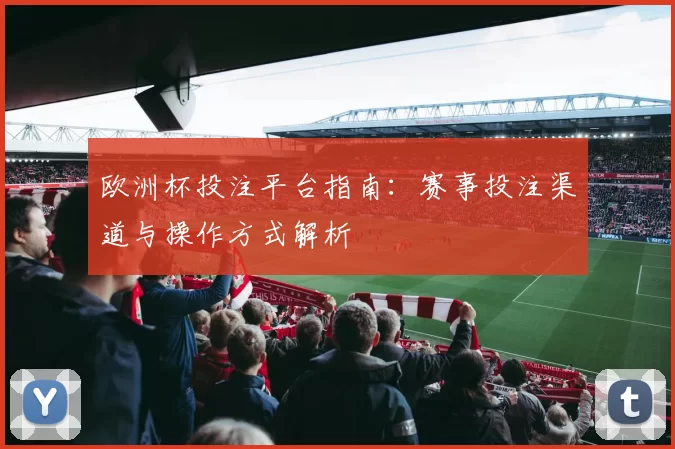 欧洲杯投注平台指南：赛事投注渠道与操作方式解析