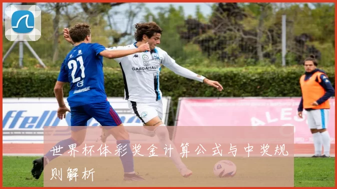 世界杯体彩奖金计算公式与中奖规则解析