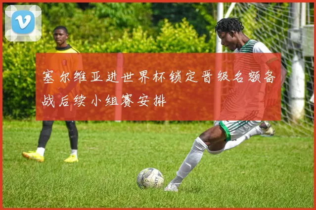 塞尔维亚进世界杯锁定晋级名额备战后续小组赛安排