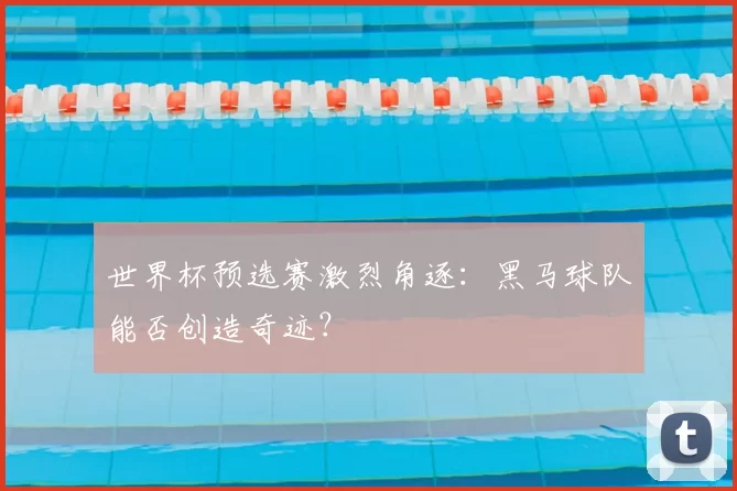 世界杯预选赛激烈角逐：黑马球队能否创造奇迹？