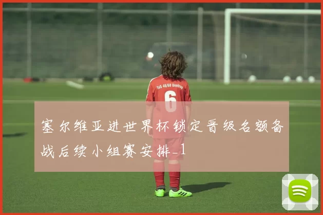 塞尔维亚进世界杯锁定晋级名额备战后续小组赛安排_1