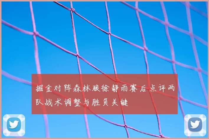 掘金对阵森林狼徐静雨赛后点评两队战术调整与胜负关键