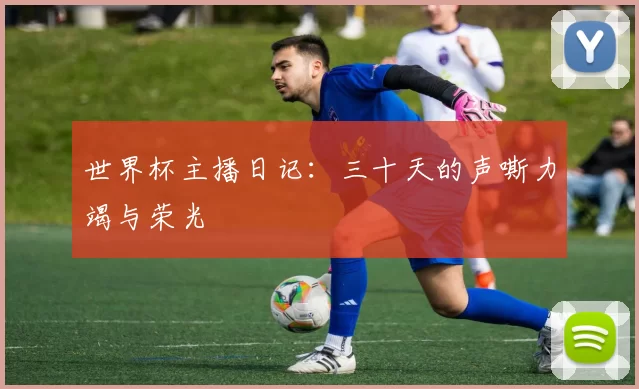 世界杯主播日记：三十天的声嘶力竭与荣光