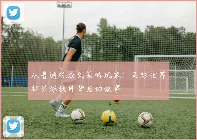 从普通观众到策略玩家:足球世界杯买球软件背后的故事