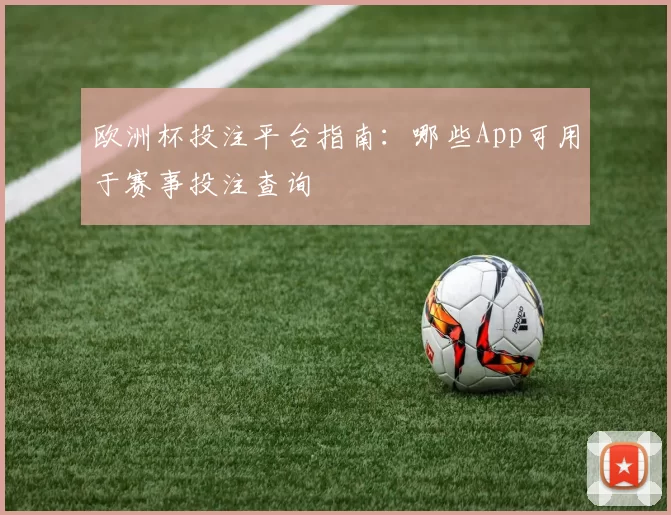 欧洲杯投注平台指南：哪些App可用于赛事投注查询