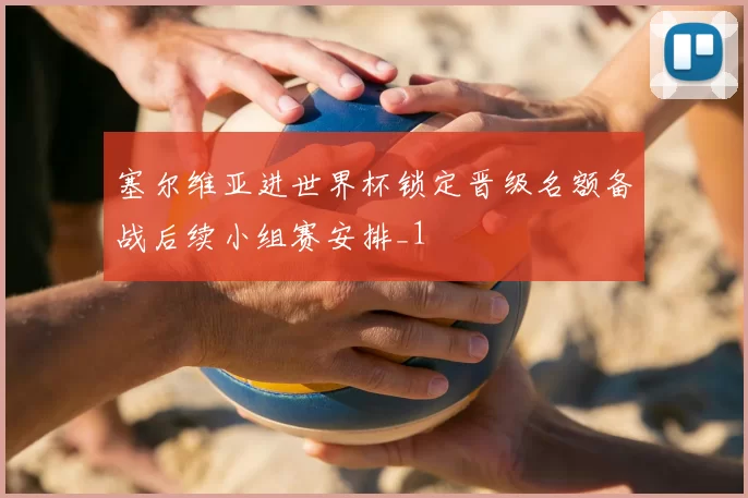 塞尔维亚进世界杯锁定晋级名额备战后续小组赛安排_1